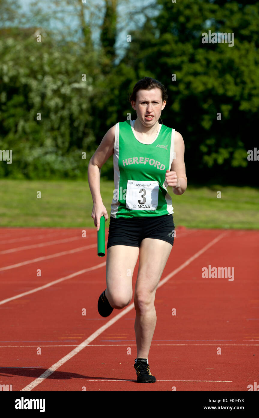 Athletics, runner finishing in women`s 4X400m relay race at club level, UK Stock Photo